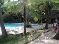 3.Siquijor Coco Grove 157